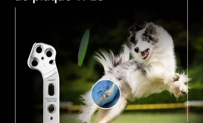 Vente d'instruments médicaux à usage unique à Saint-Paul 974, Saint-Paul, ERGONE medical services