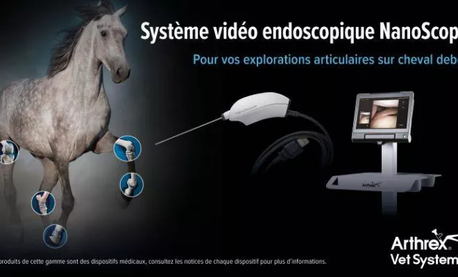 Distributeur de dispositifs médicaux en orthopédie et en traumatologie, Saint-Paul, ERGONE medical services